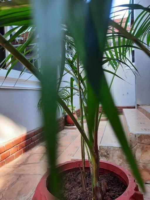 Ellyz Home Stay Moshi Exterior photo